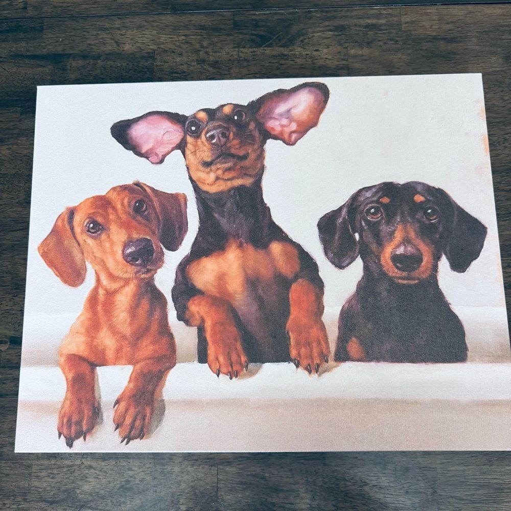 Cute Funny Dachshund Dogs Trio Canvas Wall Art Portrait